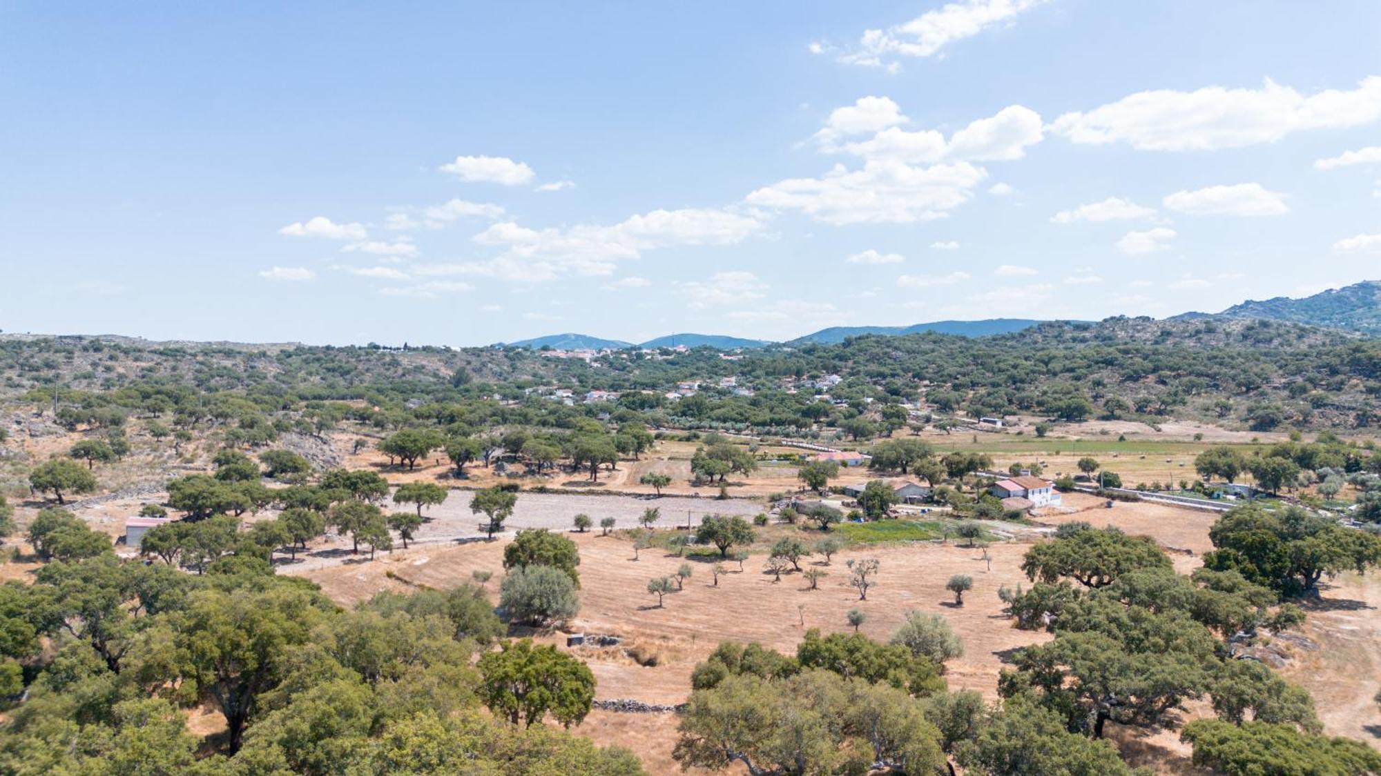 Casas De Marvao - Casa Do Ribeiro Villa Dış mekan fotoğraf