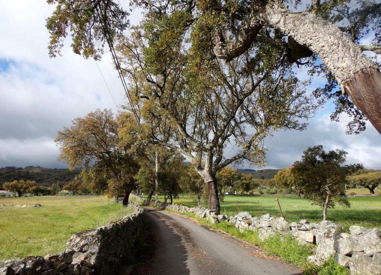 Casas De Marvao - Casa Do Ribeiro Villa Dış mekan fotoğraf